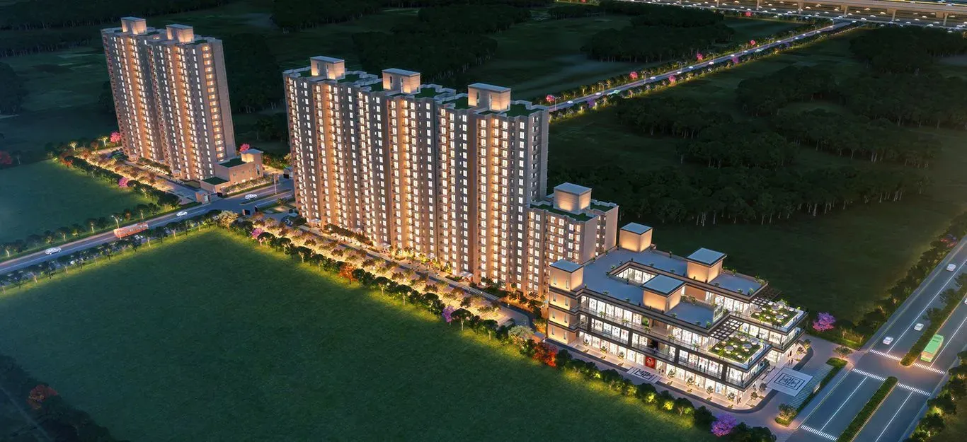 Signature The Millennia 4